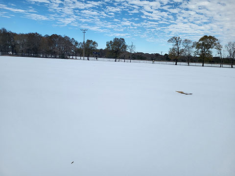 Kipper Mease Softball Field as of January 21st, 2025